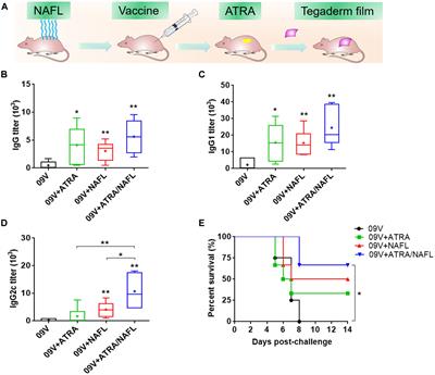 Topical Application of a Vitamin A Derivative and Its Combination With Non-ablative Fractional Laser Potentiates Cutaneous Influenza Vaccination